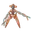 Deoxys
